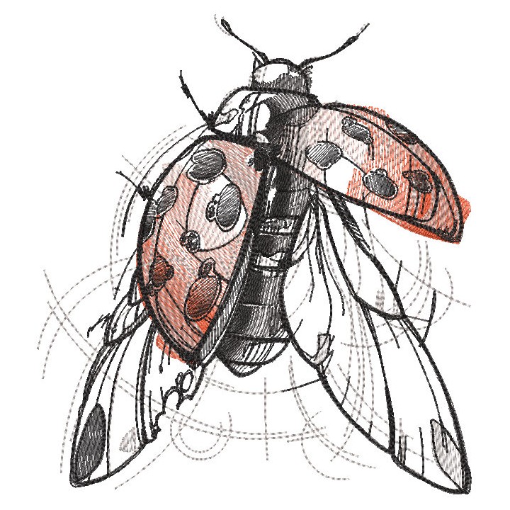 Ladybug sketch embroidery design