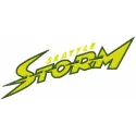 Seattle Storm wordmark embroidery design showcasing a bold lettering style for basketball enthusiasts.