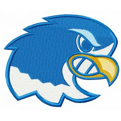 Notre Dame Falcons alternative logo embroidery design featuring detailed stitching for college sports enthusiasts.