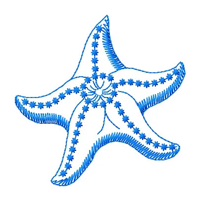 Preview of a sea star embroidery design, showcasing intricate stitching patterns for ocean-themed projects.