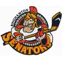 Binghamton Senators logo embroidery design showcased on a fabric, ideal for hockey-themed projects and apparel.