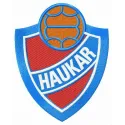 Haukar logo embroidery design showcased on a basketball, featuring intricate stitching patterns.