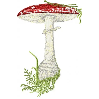 Amanita muscaria big mushroom embroidery design showcasing vibrant colors and intricate details for creative stitching.