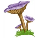 Preview of the Violet Mushroom embroidery design, showcasing intricate stitching patterns featuring vibrant mushrooms.