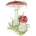 Amanita muscaria embroidery design showcasing vibrant red and white mushroom motifs for creative stitching projects.
