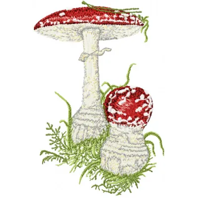 Amanita muscaria embroidery design showcasing vibrant red and white mushroom motifs for creative stitching projects.