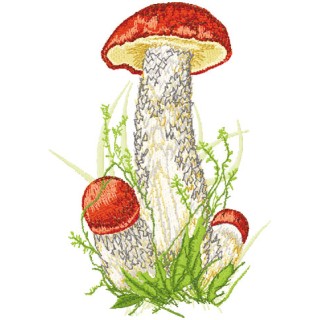 Leccinum embroidery design - Embroidery Design