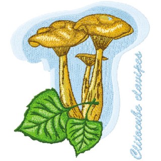 Clitocube clavipes embroidery design - Embroidery Design