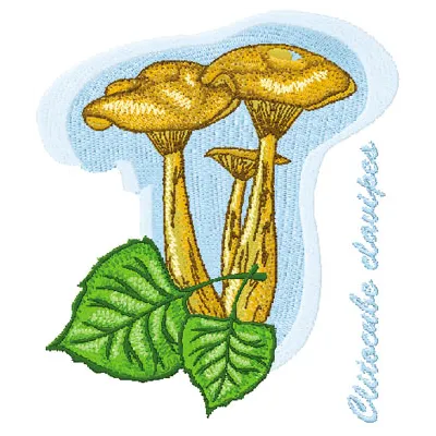 Clitocube clavipes embroidery design showcasing a detailed mushroom pattern for creative stitching projects.