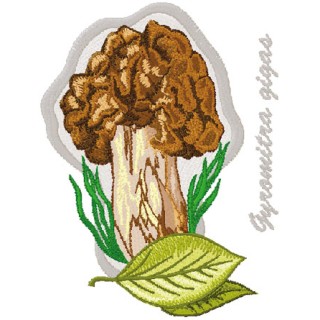 Gyromitra Gigas embroidery design - Embroidery Design