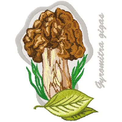 Gyromitra Gigas embroidery design preview showcasing intricate mushroom stitching patterns.
