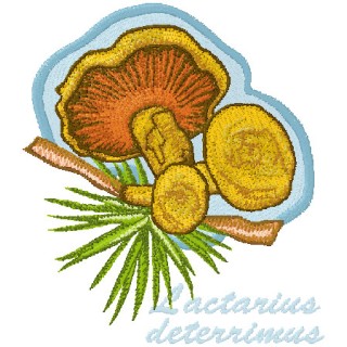 Lactarius Deterrimus embroidery design - Embroidery Design