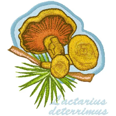 Lactarius Deterrimus embroidery design showcasing intricate mushroom details for creative stitching projects.