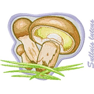Suillus luteus embroidery design - Embroidery Design