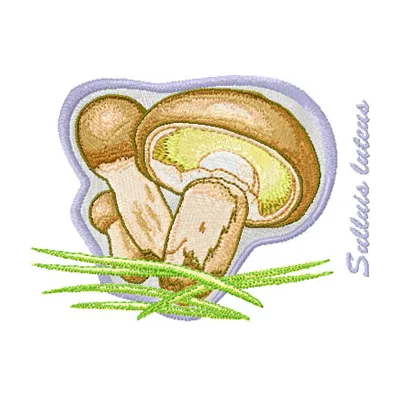 Suillus luteus embroidery design showcasing a detailed mushroom motif for creative stitching projects.