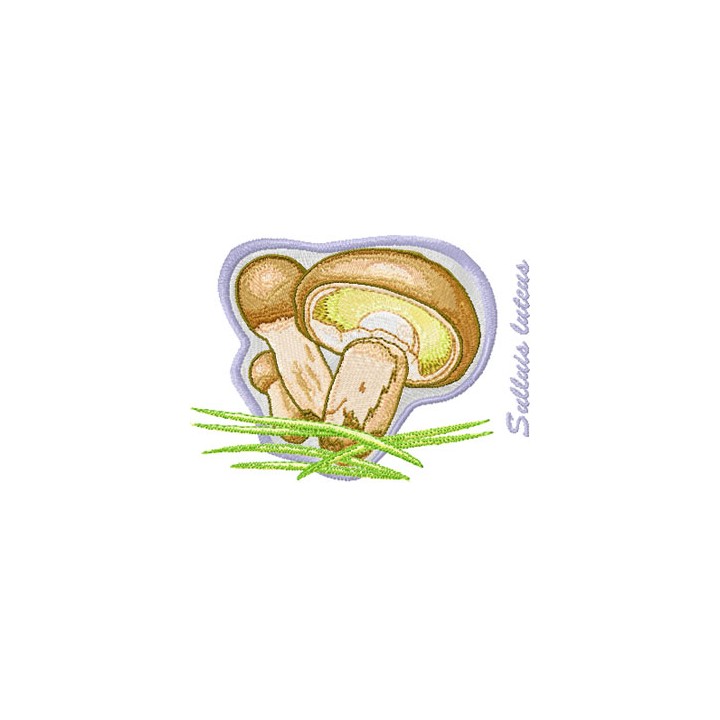 Suillus luteus embroidery design - Embroidery Design