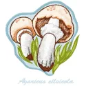 Agaricus Silvicola embroidery design showcasing a detailed mushroom motif for creative stitching projects.