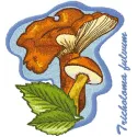 Tricholoma Fulvum embroidery design featuring intricate mushroom motifs, perfect for nature-themed projects.