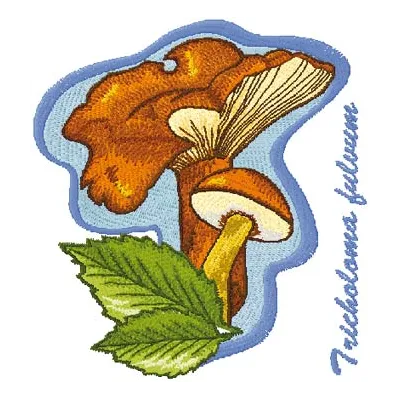 Tricholoma Fulvum embroidery design featuring intricate mushroom motifs, perfect for nature-themed projects.