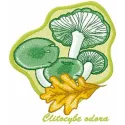 Preview of Clitocybe odora embroidery design featuring intricate mushroom motifs for creative stitching.