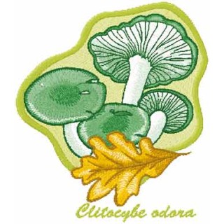 Clitocybe odora embroidery design - Embroidery Design