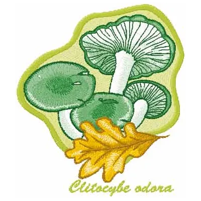 Preview of Clitocybe odora embroidery design featuring intricate mushroom motifs for creative stitching.