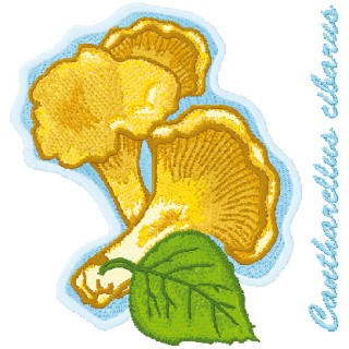 Cantharellus Cibarius embroidery design - Embroidery Design