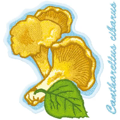 Preview of Cantharellus Cibarius embroidery design featuring detailed mushroom motifs for creative stitching.
