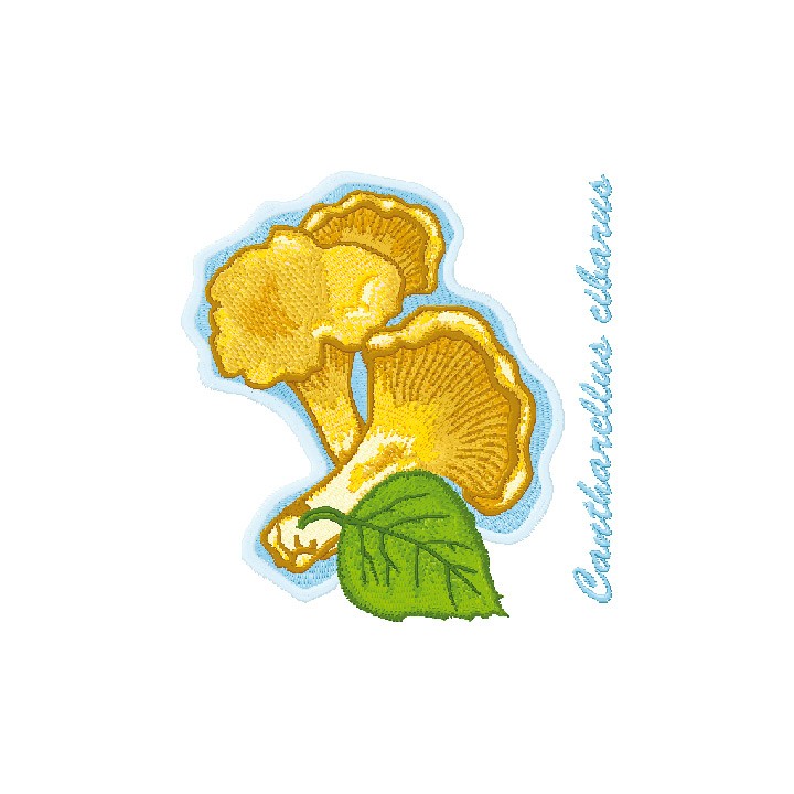 Cantharellus Cibarius embroidery design - Embroidery Design
