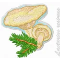 Lactarius resimus embroidery design featuring intricate mushroom motifs, perfect for nature-themed crafts.