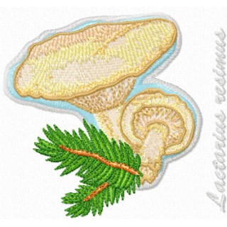 Lactarius resimus embroidery design - Embroidery Design