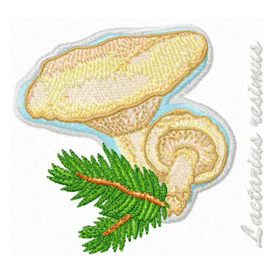 Lactarius resimus embroidery design featuring intricate mushroom motifs, perfect for nature-themed crafts.