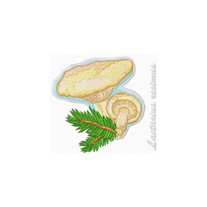 Lactarius resimus embroidery design - Embroidery Design