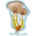Preview of the Slitocube Gibba embroidery design featuring a unique mushroom motif for creative stitching projects.