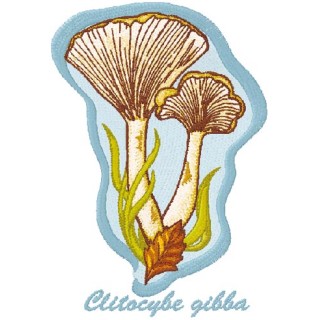 Сlitocube gibba embroidery design - Embroidery Design