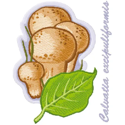 Caluatia excipuliformis embroidery design showcasing detailed mushroom motifs for creative stitching projects.