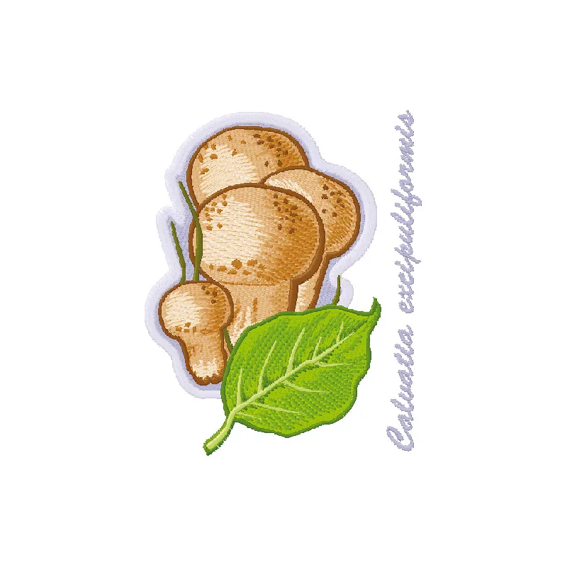 Caluatia excipuliformis embroidery design showcasing detailed mushroom motifs for creative stitching projects.