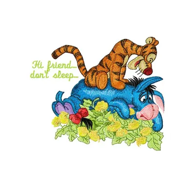 Embroidery design featuring Tigger and Eeyore with the phrase 'Hi friend, don't sleep' for creative stitching projects.