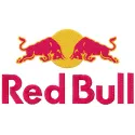 Red Bull logo embroidery design preview showcasing intricate stitching patterns on fabric.