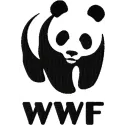 WWF logo embroidery design preview showcasing intricate stitching patterns for social service projects.