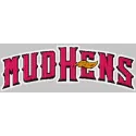 Toledo Mud Hens logo embroidery design featuring detailed stitching, ideal for baseball-themed apparel and accessories.