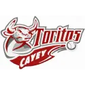 Preview of the Toritos Cayey logo embroidery design featuring a vibrant baseball-themed stitched motif.