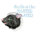 Stella embroidery design featuring a charming woodland animal motif, perfect for t-shirts and tote bags.
