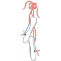Preview of ballet shoes applique embroidery design, showcasing intricate stitching patterns for creative projects.