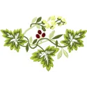 Wild berries embroidery design showcasing vibrant floral motifs, ideal for embellishing fabric projects.