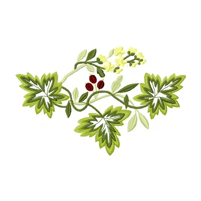 Wild berries embroidery design showcasing vibrant floral motifs, ideal for embellishing fabric projects.