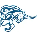 Tribal Bull embroidery design showcasing intricate symbols, ideal for unique stitching projects.