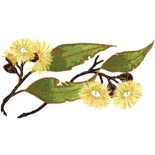 Gumnut flower embroidery design - Embroidery Design