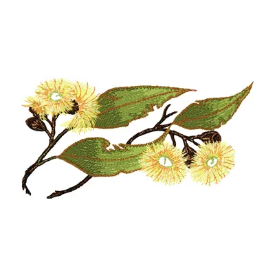 Gumnut flower embroidery design showcasing intricate floral details, perfect for stitching on home decor or apparel.