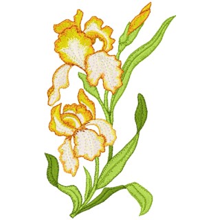 Orchids embroidery design - Embroidery Design